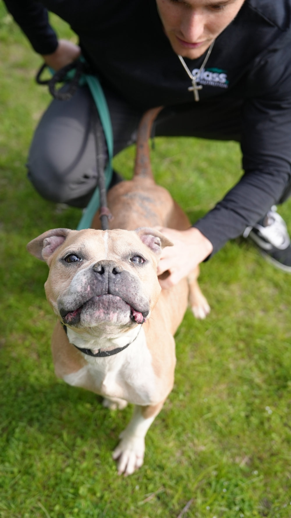 A tan dog on a teal leash looking up at the camera while the founder kneels beside it on the grass.