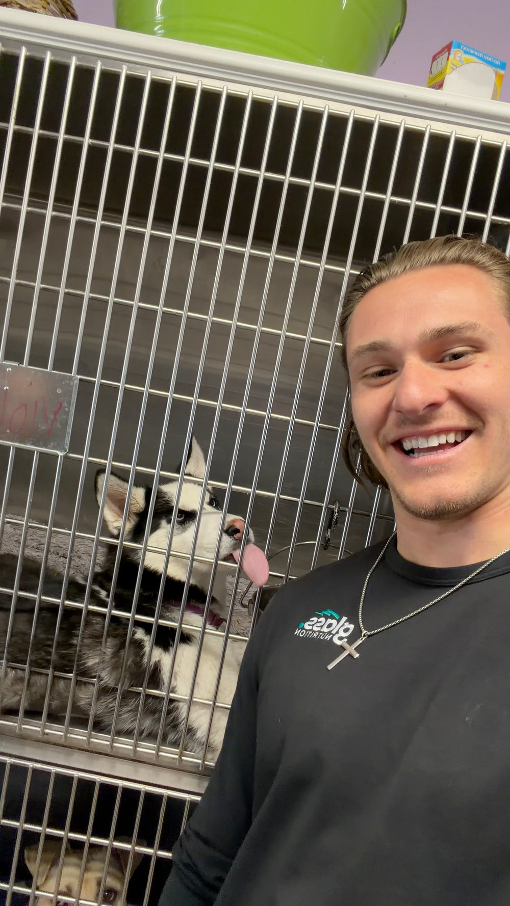 Smiling man taking a selfie beside a kennel with a husky inside.